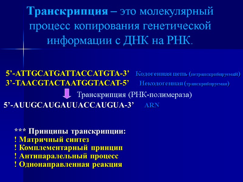 Транскрипция – это молекулярный процесс копирования генетической информации с ДНК на РНК. 5’-ATTGCATGATTACCATGTA-3’ 